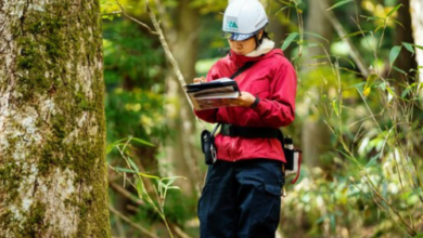 sarkari naukri van vibhag