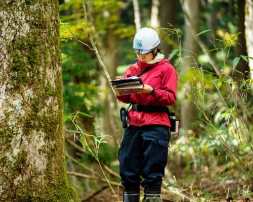 sarkari naukri van vibhag